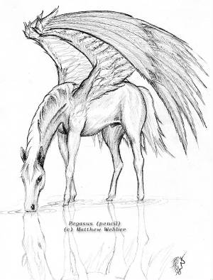 pegasus.jpg