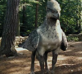 buckbeak.jpg